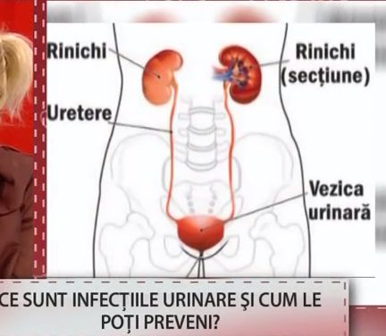 Infectia urinara: despre simptome, tratament si preventie